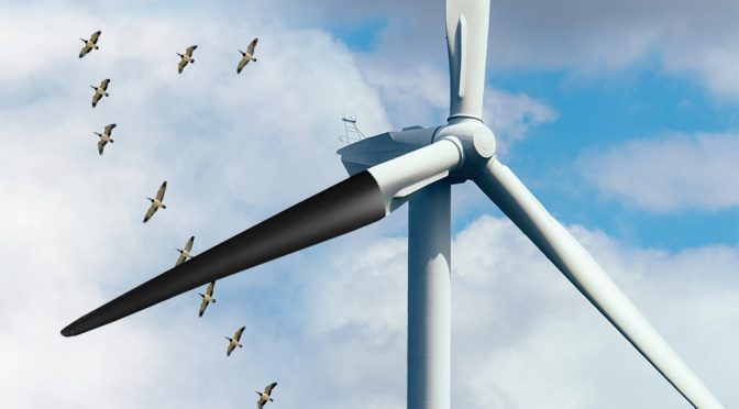 how can we stop birds affected by wind turbines​